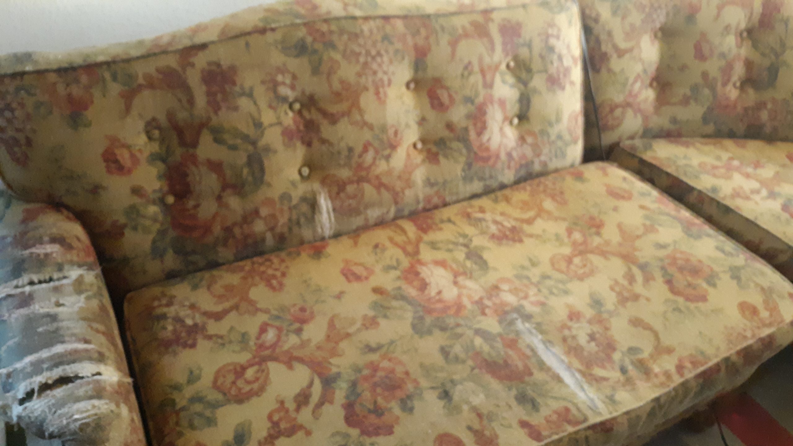 ripped vintage floral couch