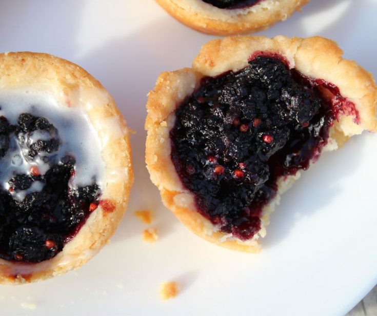 tart with mulberry pie filling and pie crust