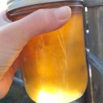 honey mesquite jelly in a mason jar in the sun