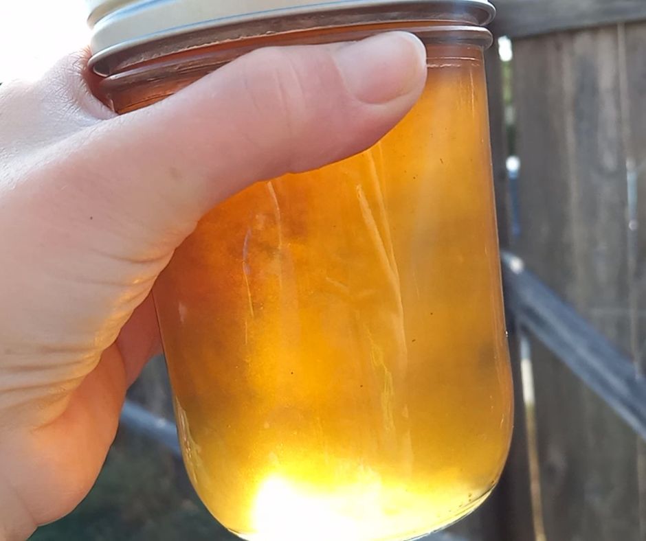 honey mesquite jelly in a mason jar in the sun